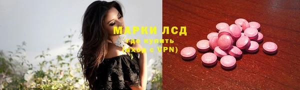 молекула духа Пересвет