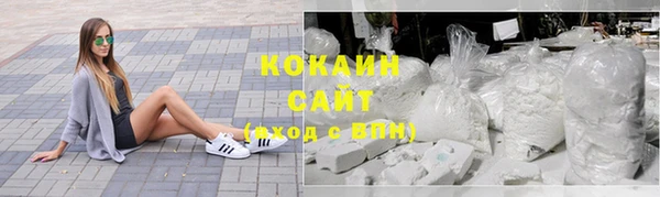 молекула духа Пересвет