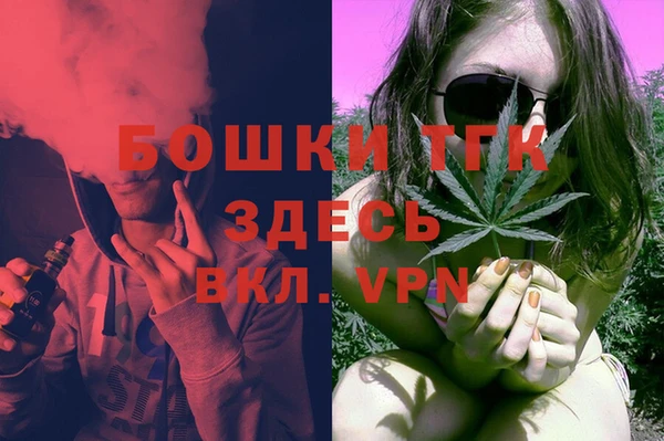 ГАЛЛЮЦИНОГЕННЫЕ ГРИБЫ Покровск
