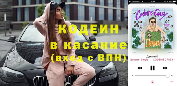 молекула духа Пересвет