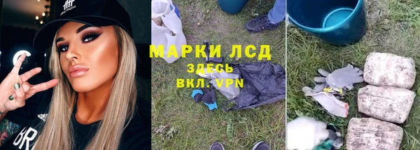 эйфоретик Пестово