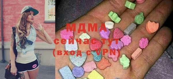 молекула духа Пересвет