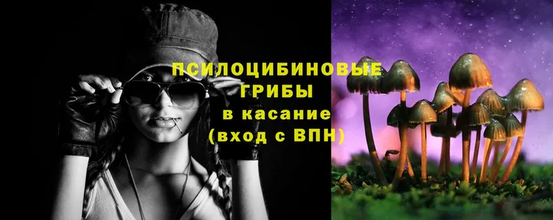 Псилоцибиновые грибы MAGIC MUSHROOMS  МЕГА как зайти  Беломорск 