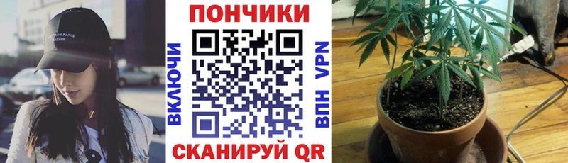 Канабис THC 21%  Беломорск 